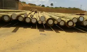 Cca Treated Wooden Poles/Timber