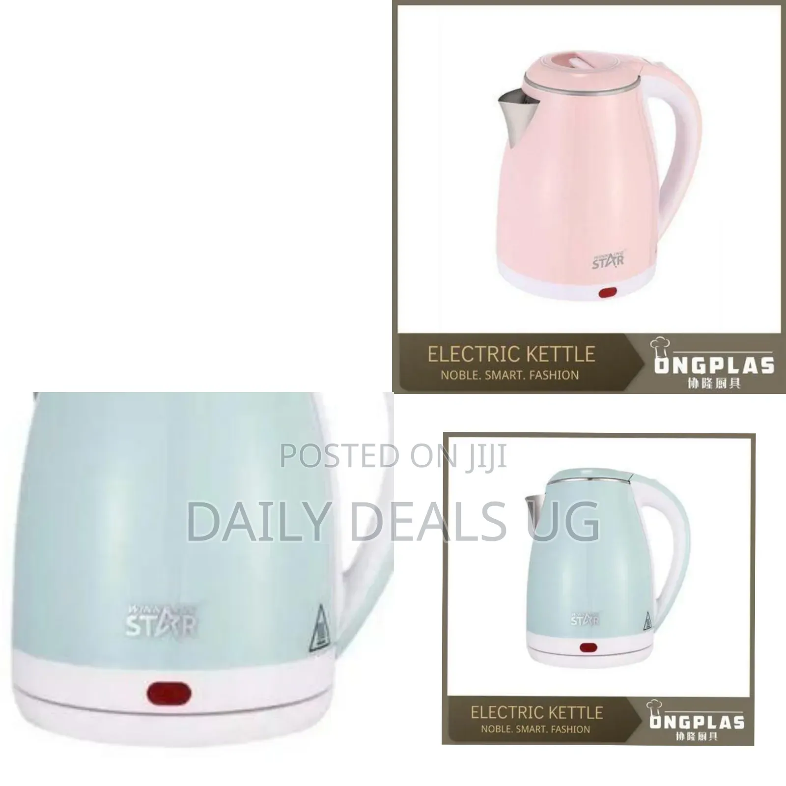 Winning Star Electric Kettle
