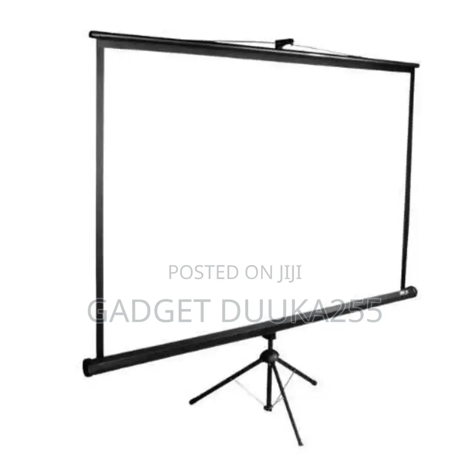 Projector Screen 240×240