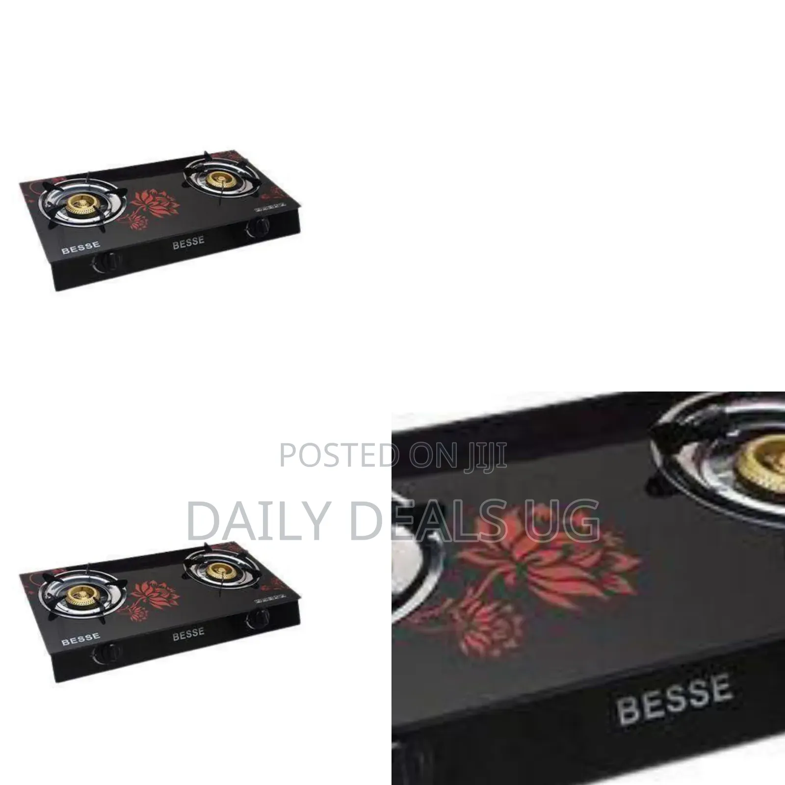 Besse Stylish Two-Burner Gas Stove With Floral Glass Top