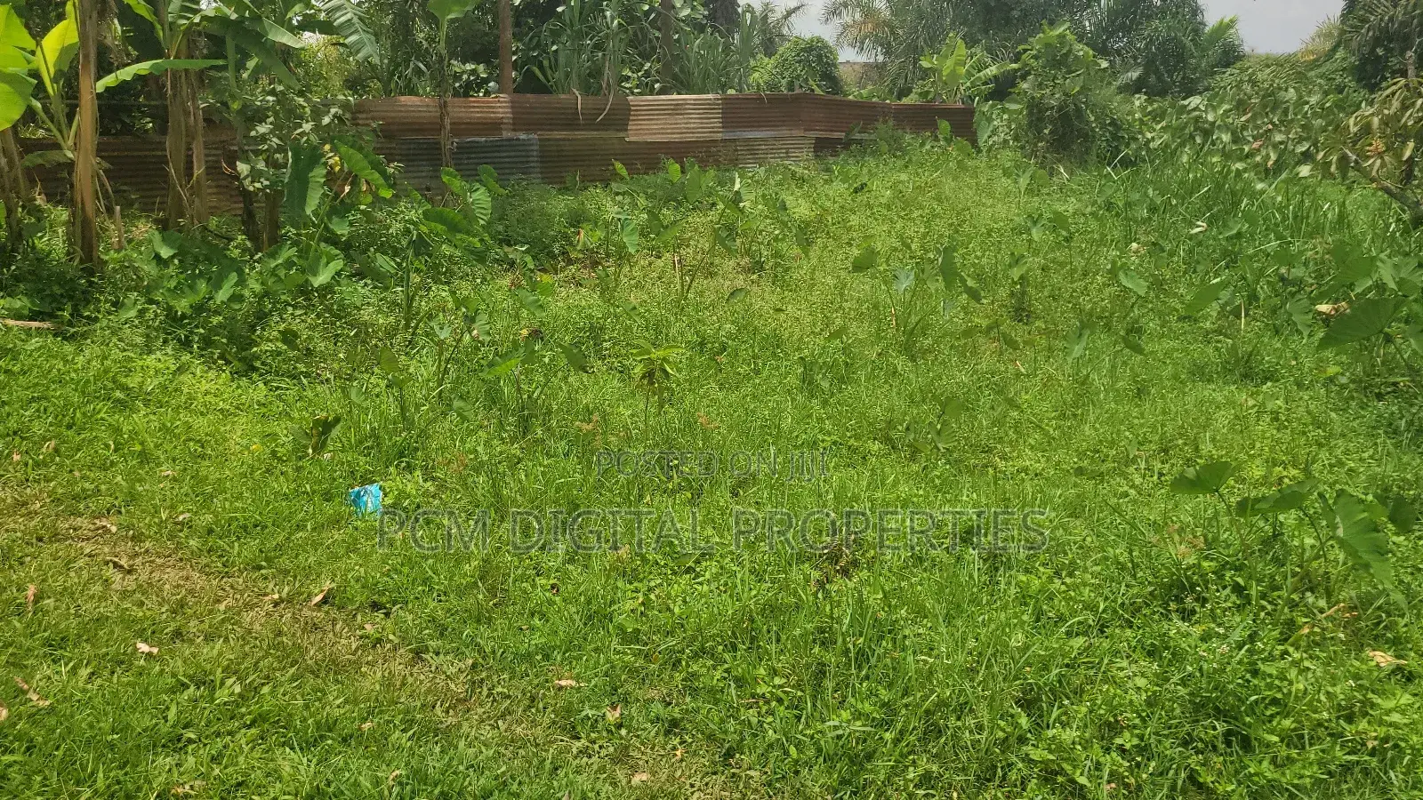 2bed Room House on 85 by 50ft for Sale