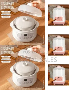 Compact Versatile Digital Food Steamer