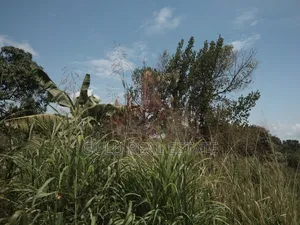 Land for Sale in Gulu