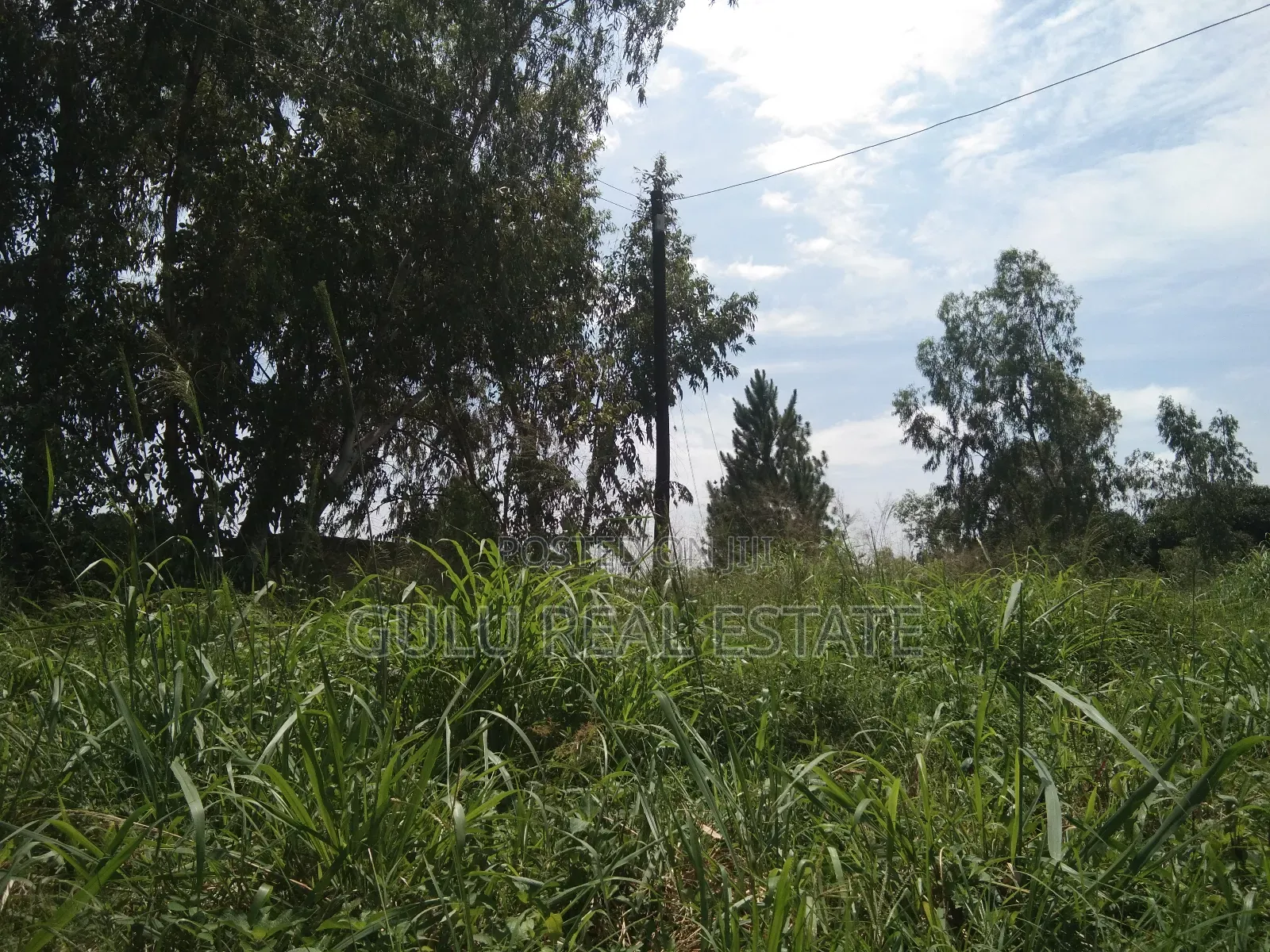 Land for Sale in Gulu