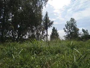 Land for Sale in Gulu