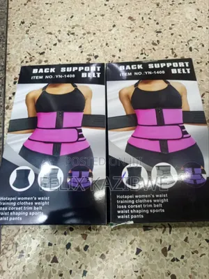 Back Support Belt.