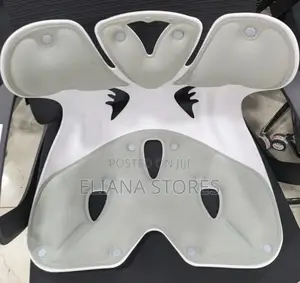 Ergonomic Lamber Plastic Chair
