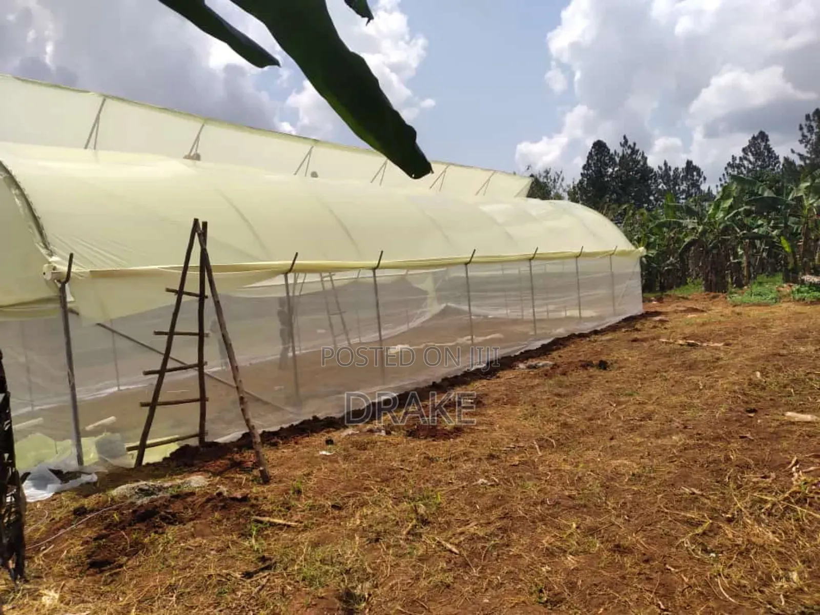 Metallic Greenhouse
