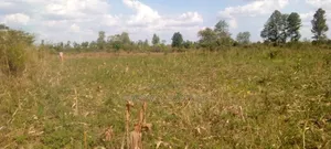 Farm Land on Sale Within Agago