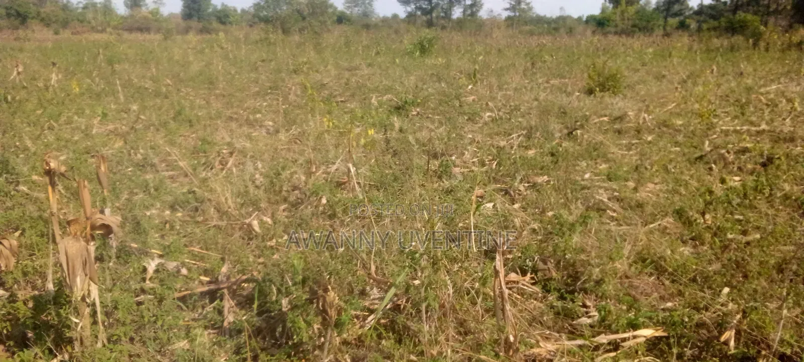 Farm Land on Sale Within Agago