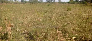 Farm Land on Sale Within Agago