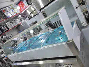 Electric Commercial Food Baine Marine 6