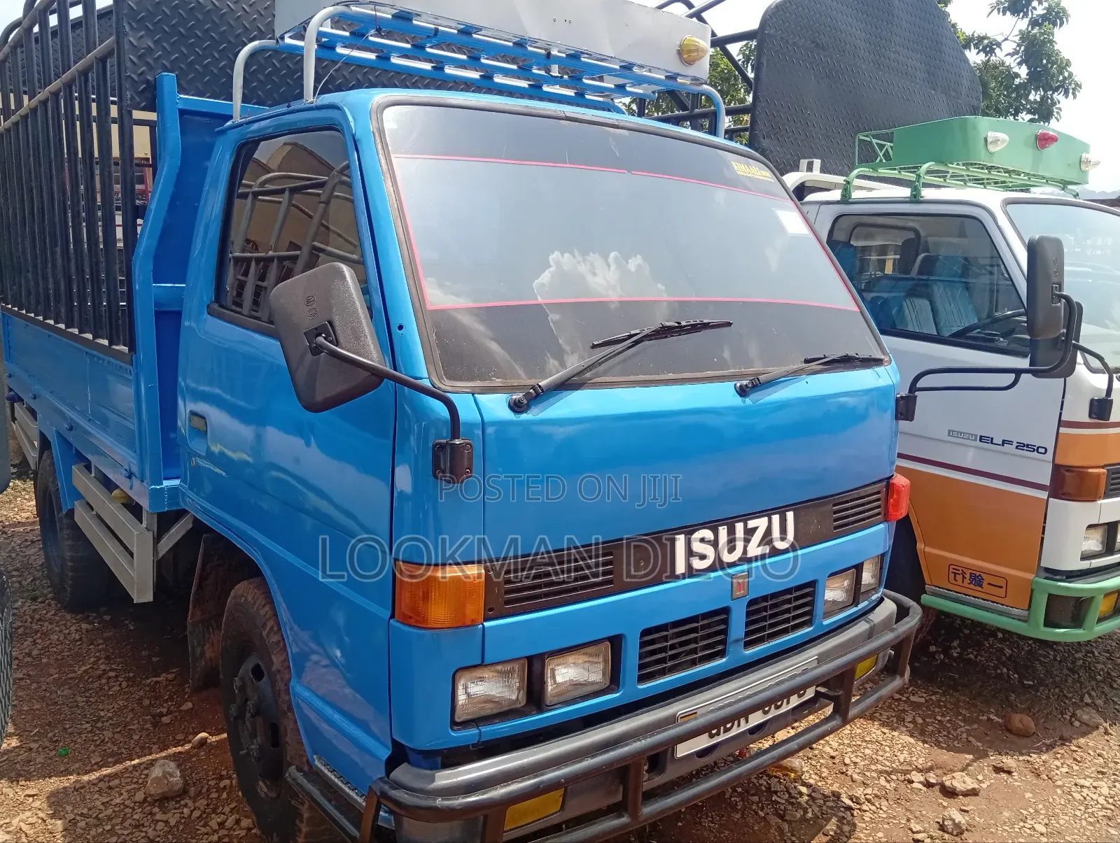 Isuzu Elf Truck 2000 Blue