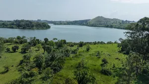 2.5 Acres of Exquisite Lakeshore Land on Sale