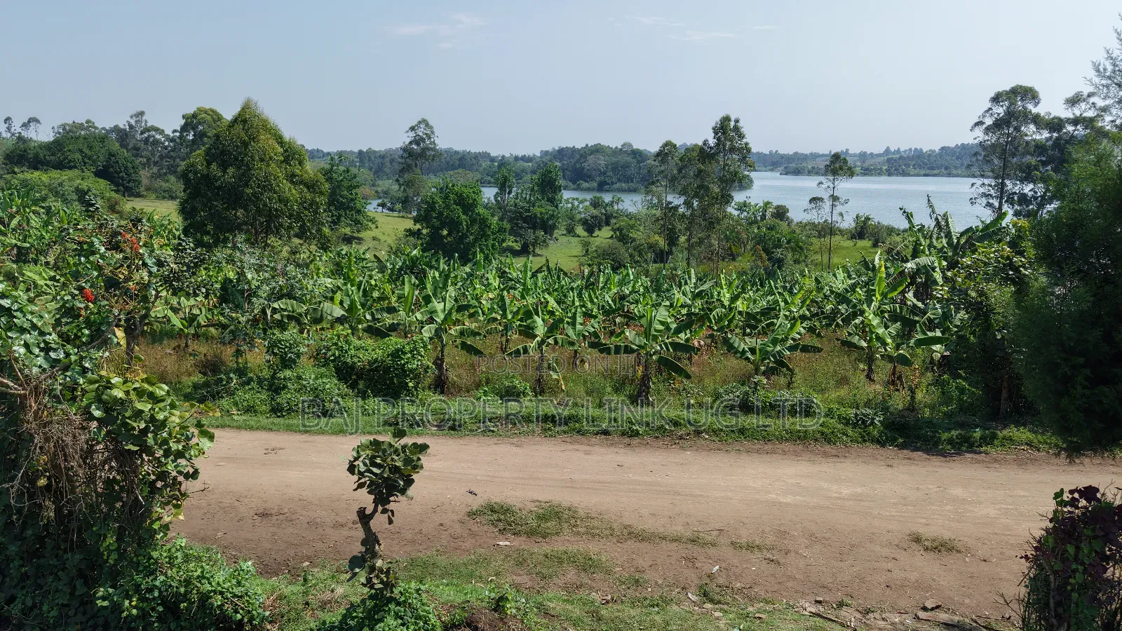 2.5 Acres of Exquisite Lakeshore Land on Sale