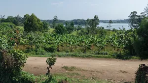 2.5 Acres of Exquisite Lakeshore Land on Sale