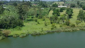 2.5 Acres of Exquisite Lakeshore Land on Sale