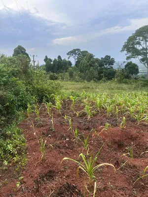 Mbalala-Lukonge 4kms From Mukono Tc
2kms From the Main Road
Jomayi