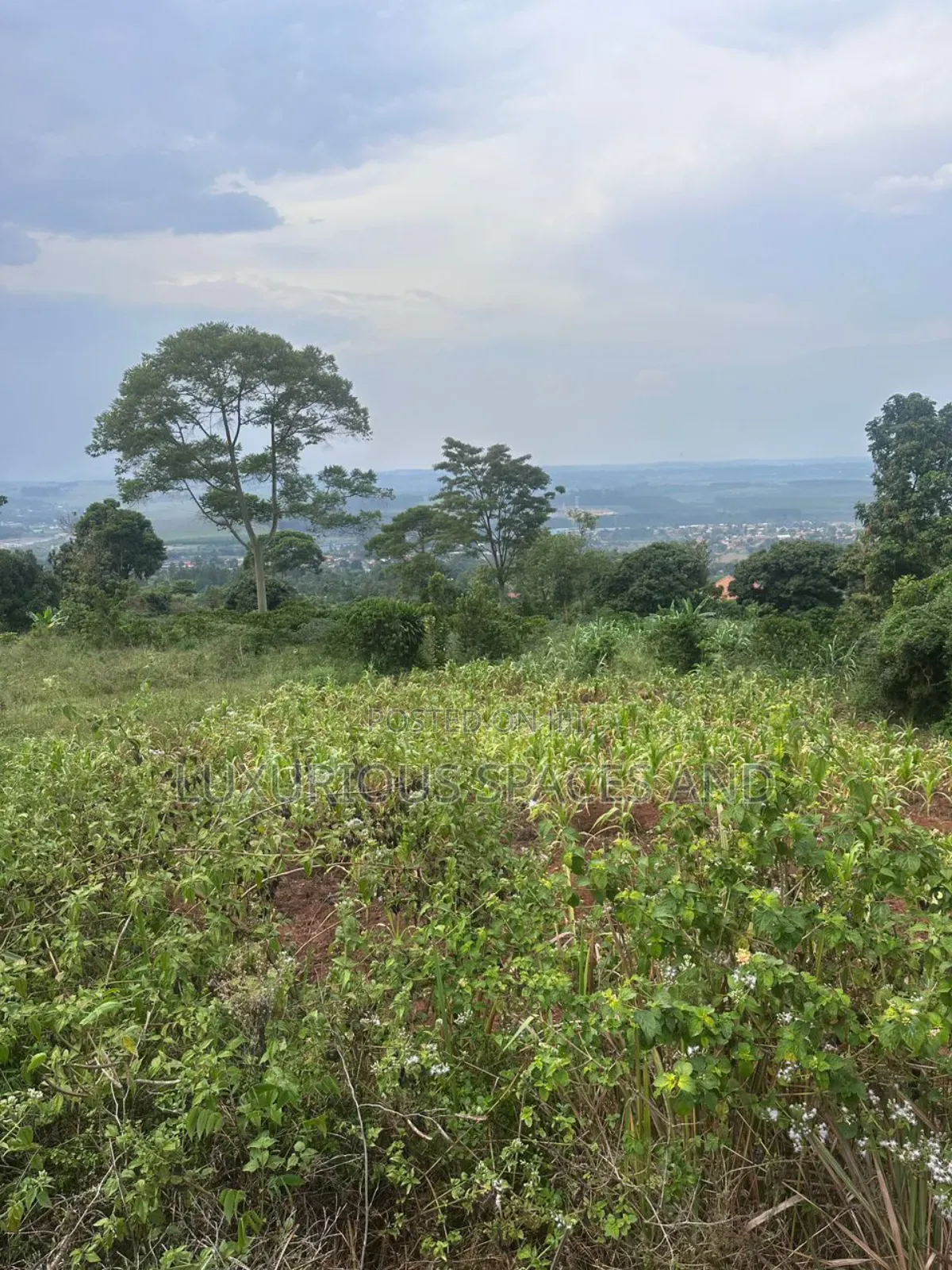 Mbalala-Lukonge 4kms From Mukono Tc
2kms From the Main Road
Jomayi