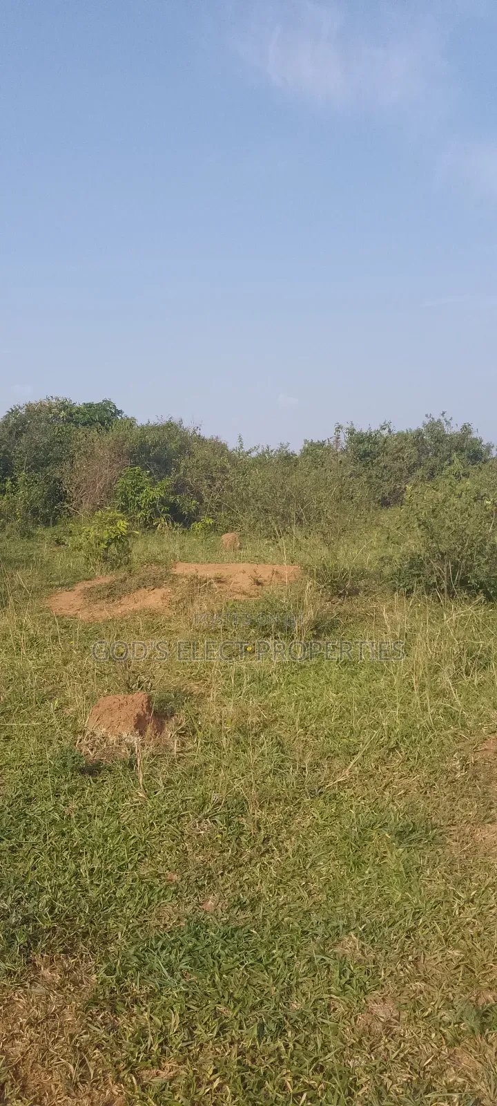 50 Acres Of Land For Sale In Bukomero Kiboga 15m Each
