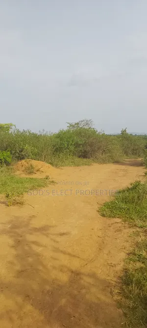 50 Acres Of Land For Sale In Bukomero Kiboga 15m Each