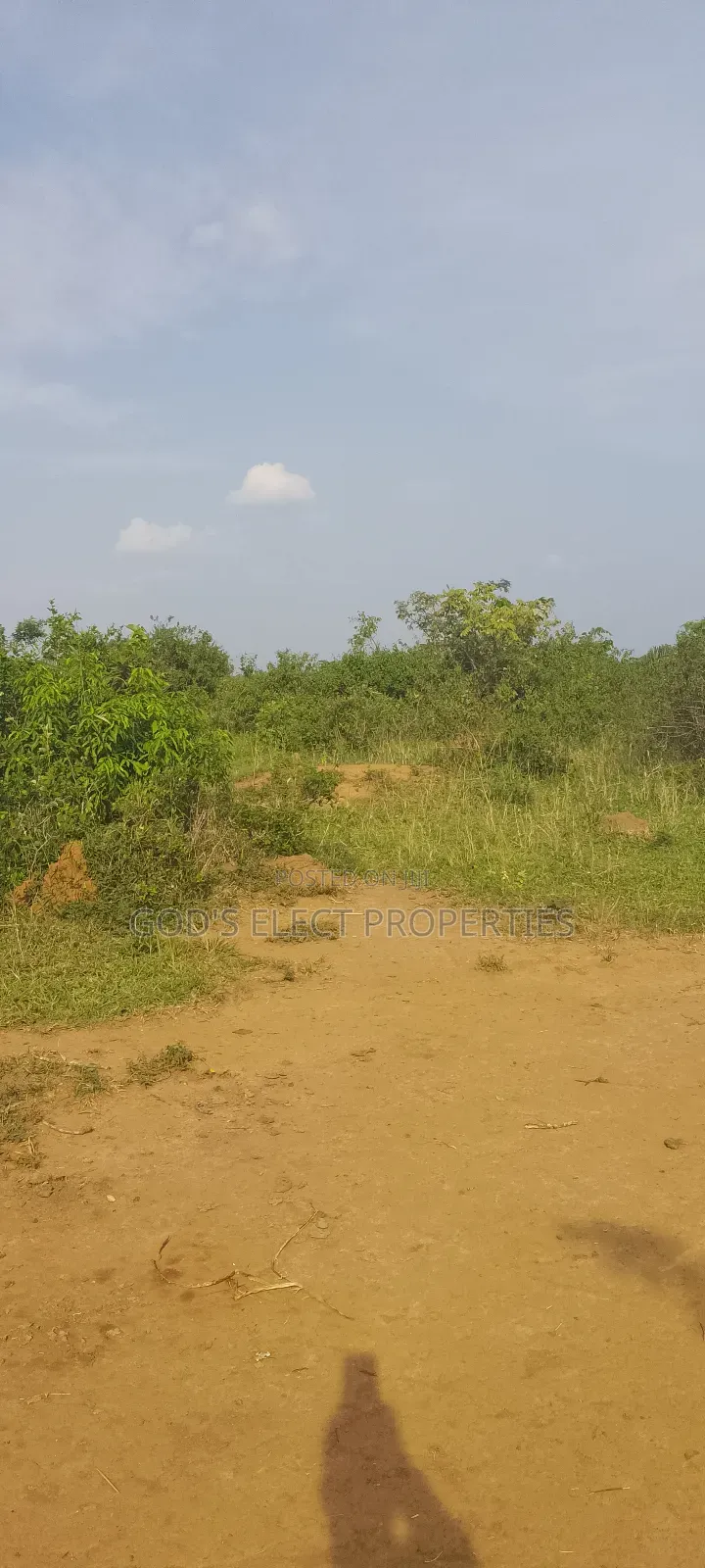 50 Acres Of Land For Sale In Bukomero Kiboga 15m Each