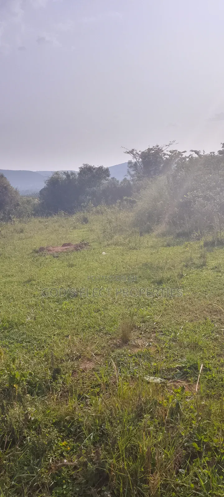 50 Acres Of Land For Sale In Bukomero Kiboga 15m Each