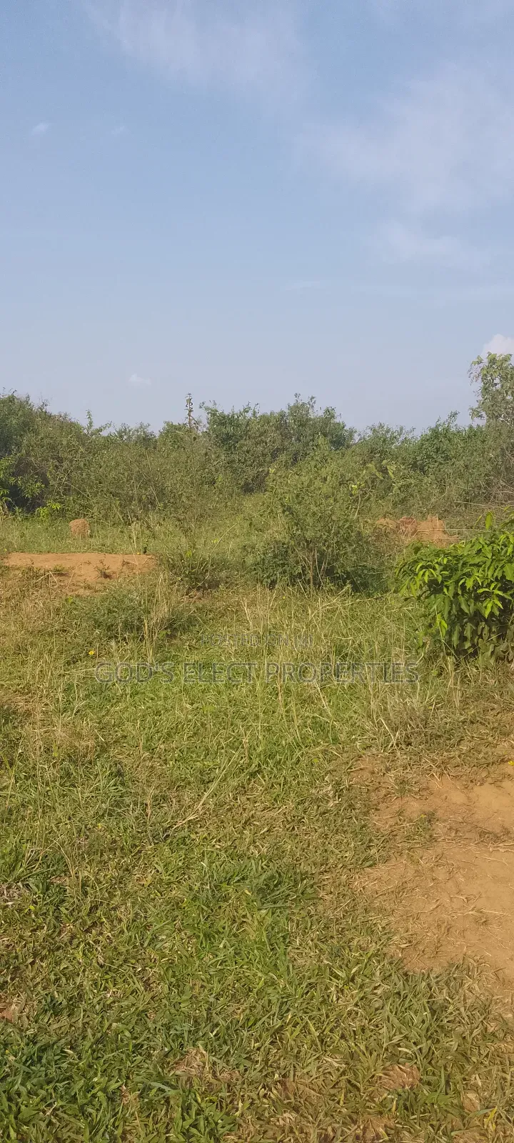 50 Acres Of Land For Sale In Bukomero Kiboga 15m Each