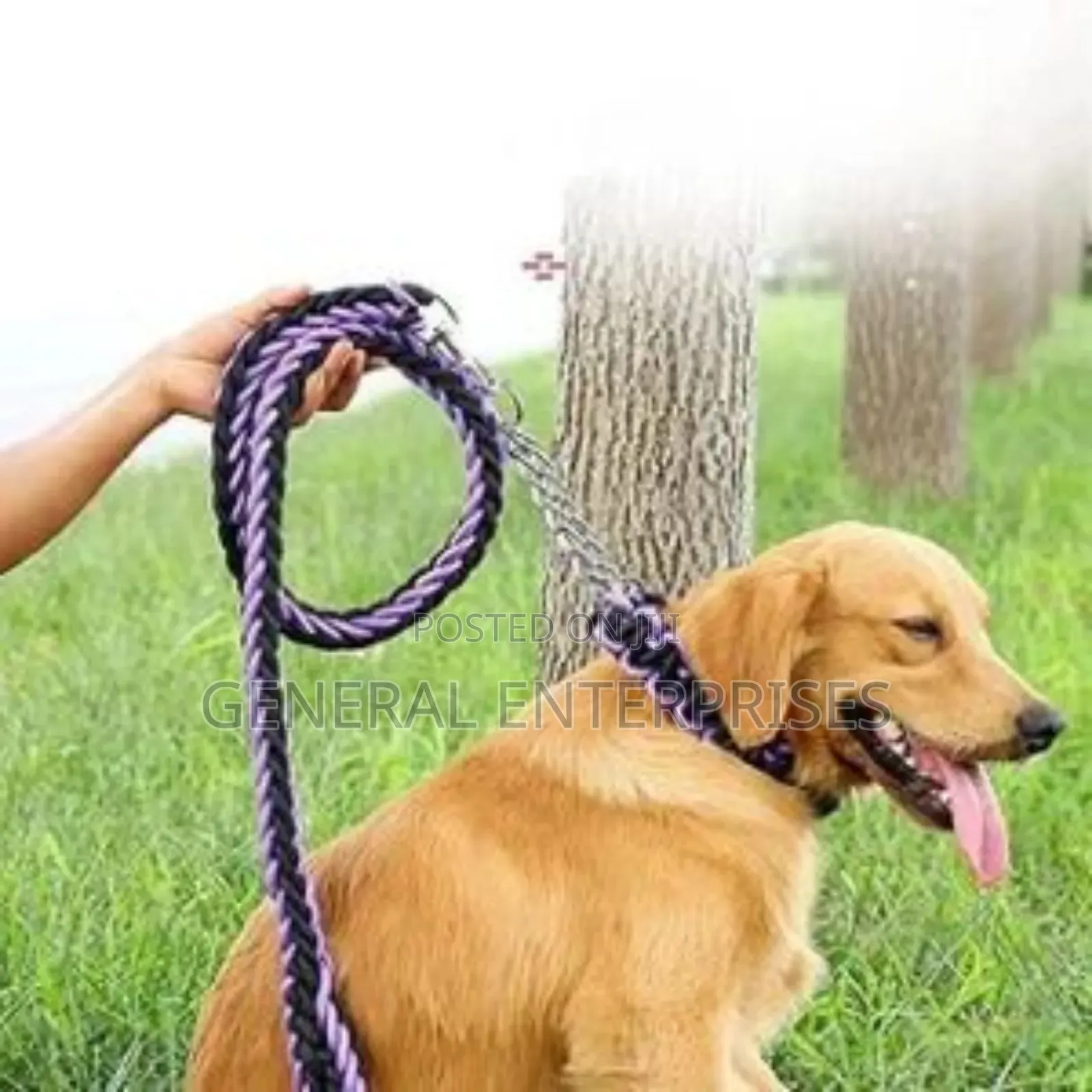 Generic Nylon Braided Dog Leash and Collar Set