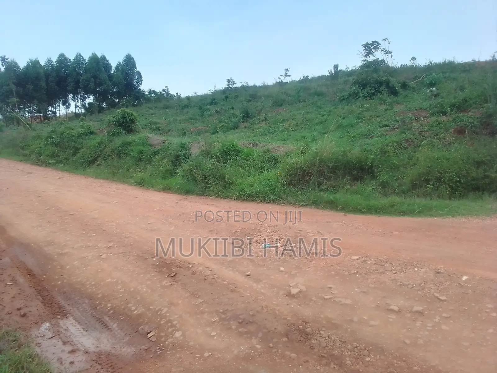 Land for Sale in Mende Banda With Land Title