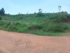 Land for Sale in Mende Banda With Land Title