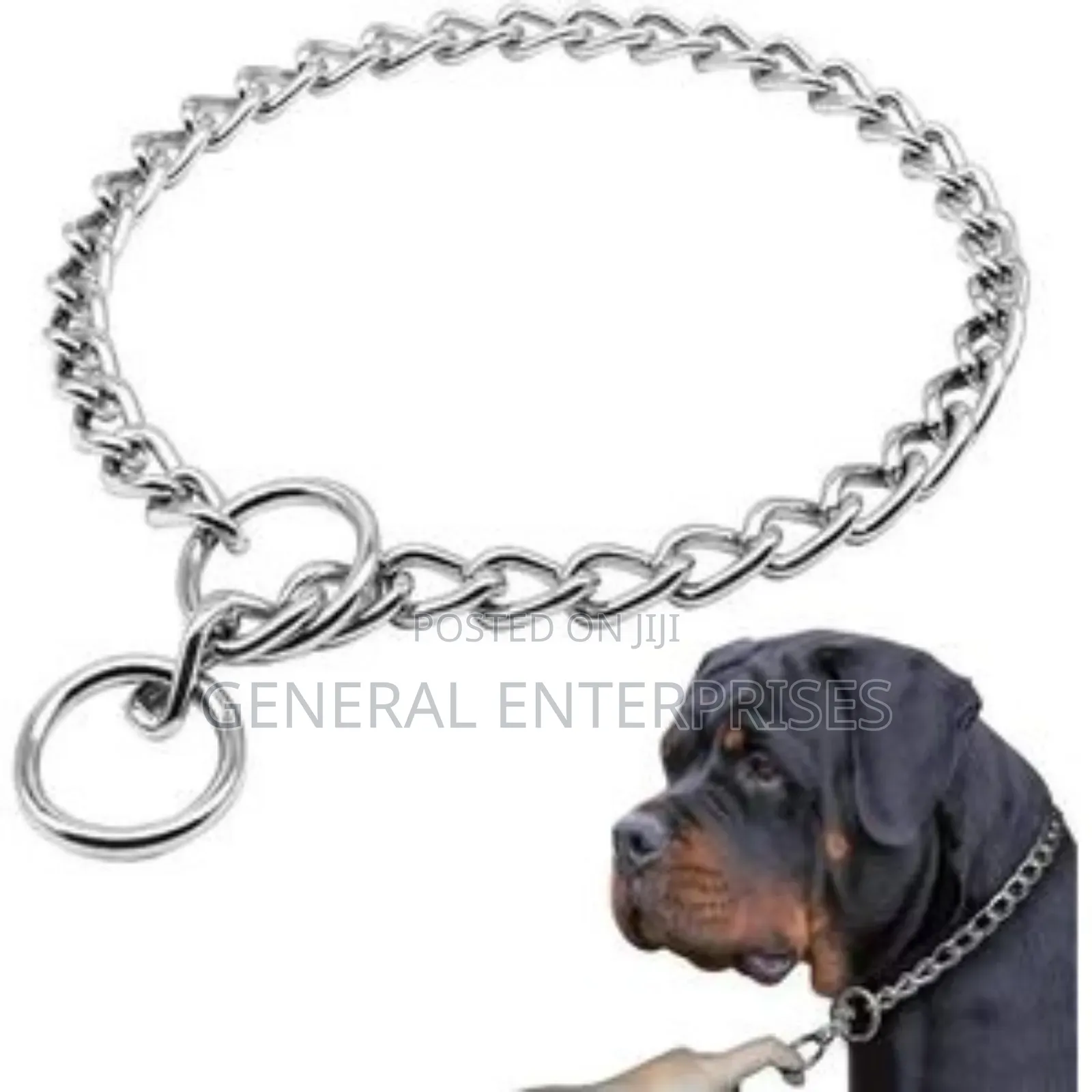 Metal Dog Choke Collar