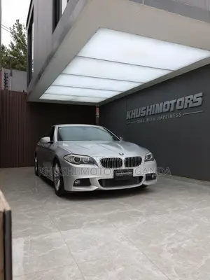 BMW 5 Series 2013 Silver