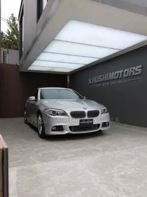 BMW 5 Series 2013 Silver
