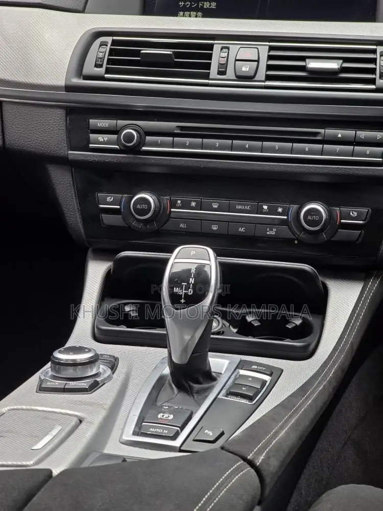 BMW 5 Series 2013 Silver