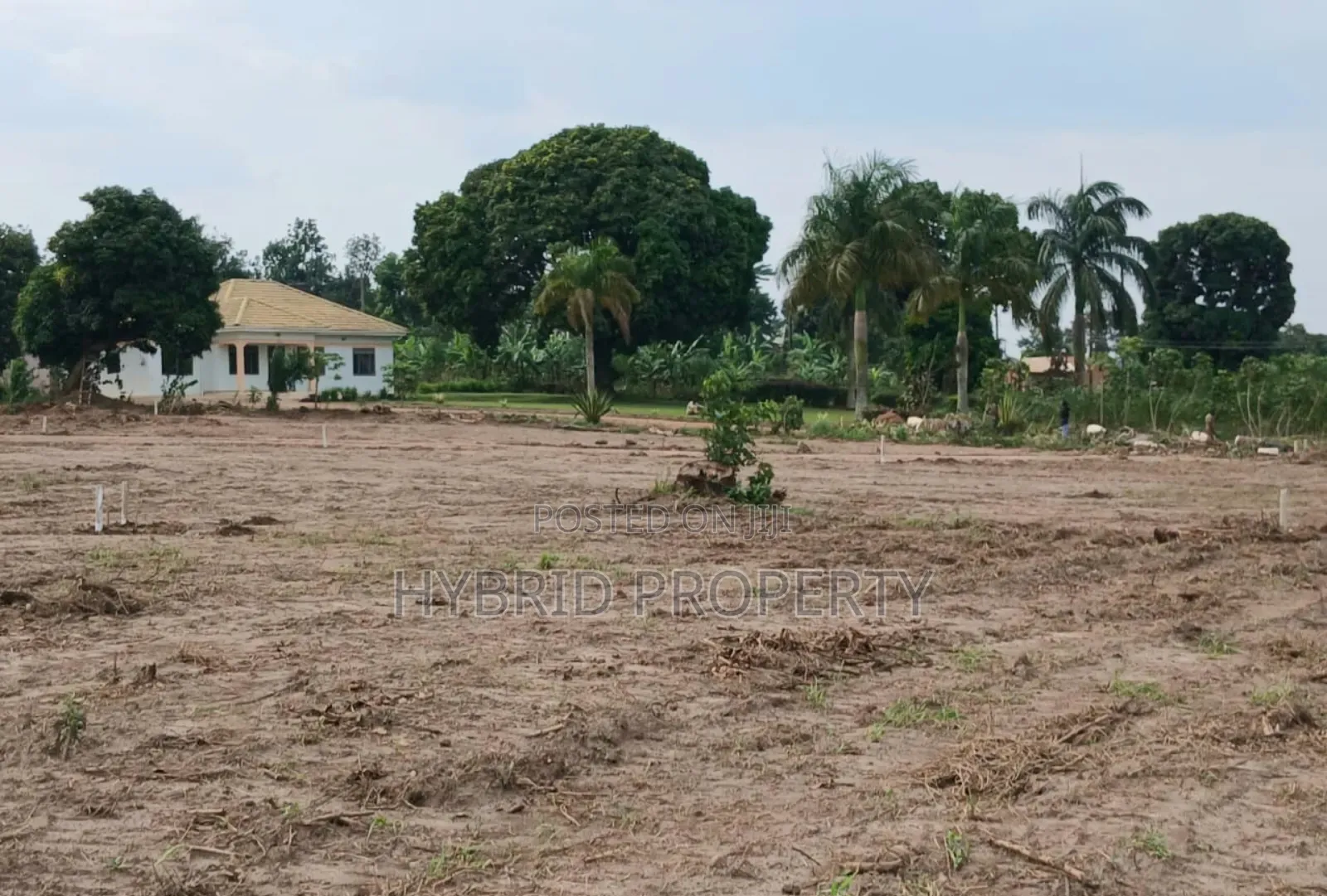 Prime Plots for Sale at Kakiri Town Tarmac View Mega Estate~Hoima Rd