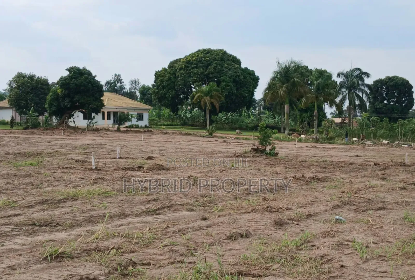 Prime Plots for Sale at Kakiri Town Tarmac View Mega Estate~Hoima Rd