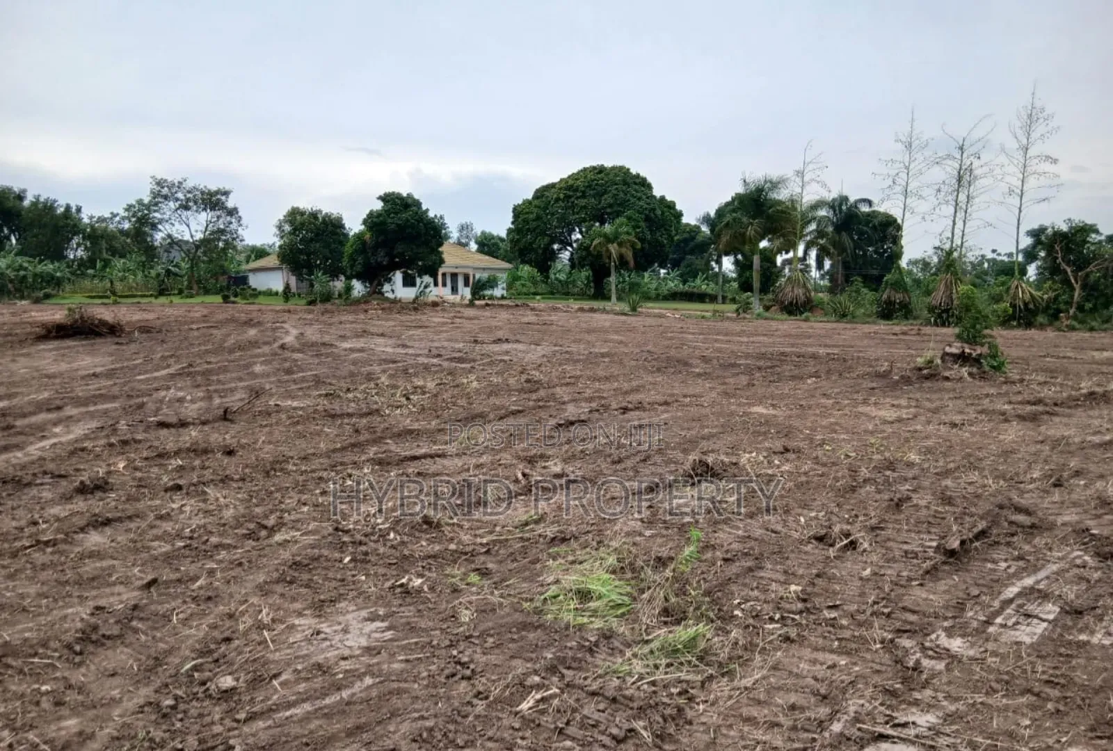 Prime Plots for Sale at Kakiri Town Tarmac View Mega Estate~Hoima Rd