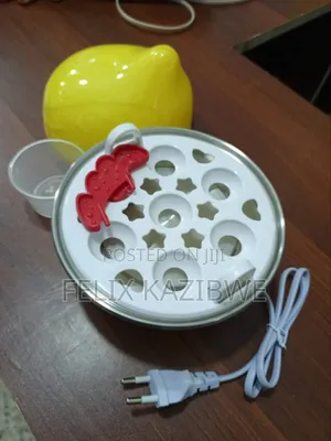 Electric Egg Cooker/Poacher.