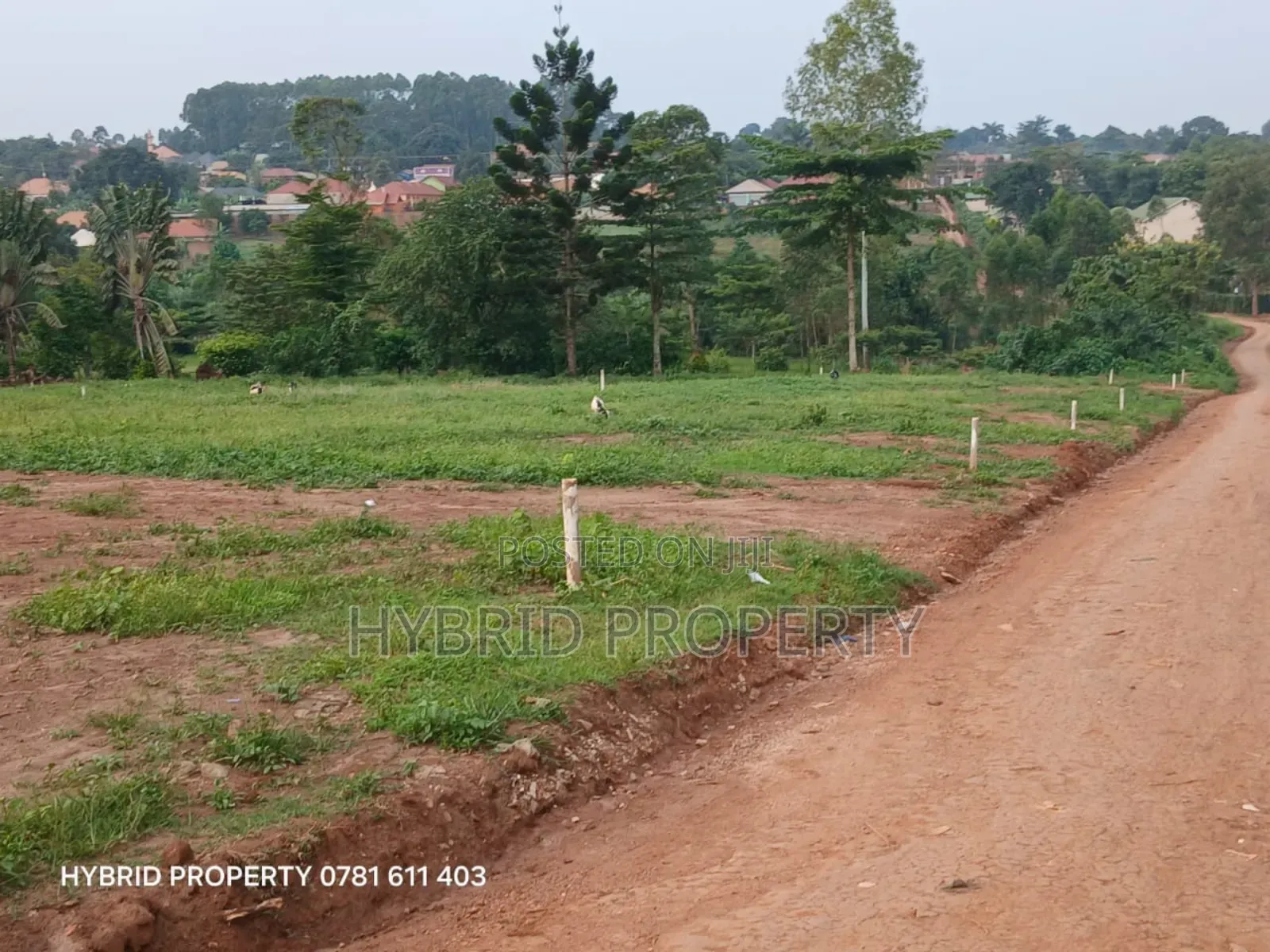 Prime Plots For Sale At Wakiso~Namusera Tarmac View Estate~Hoima Road.