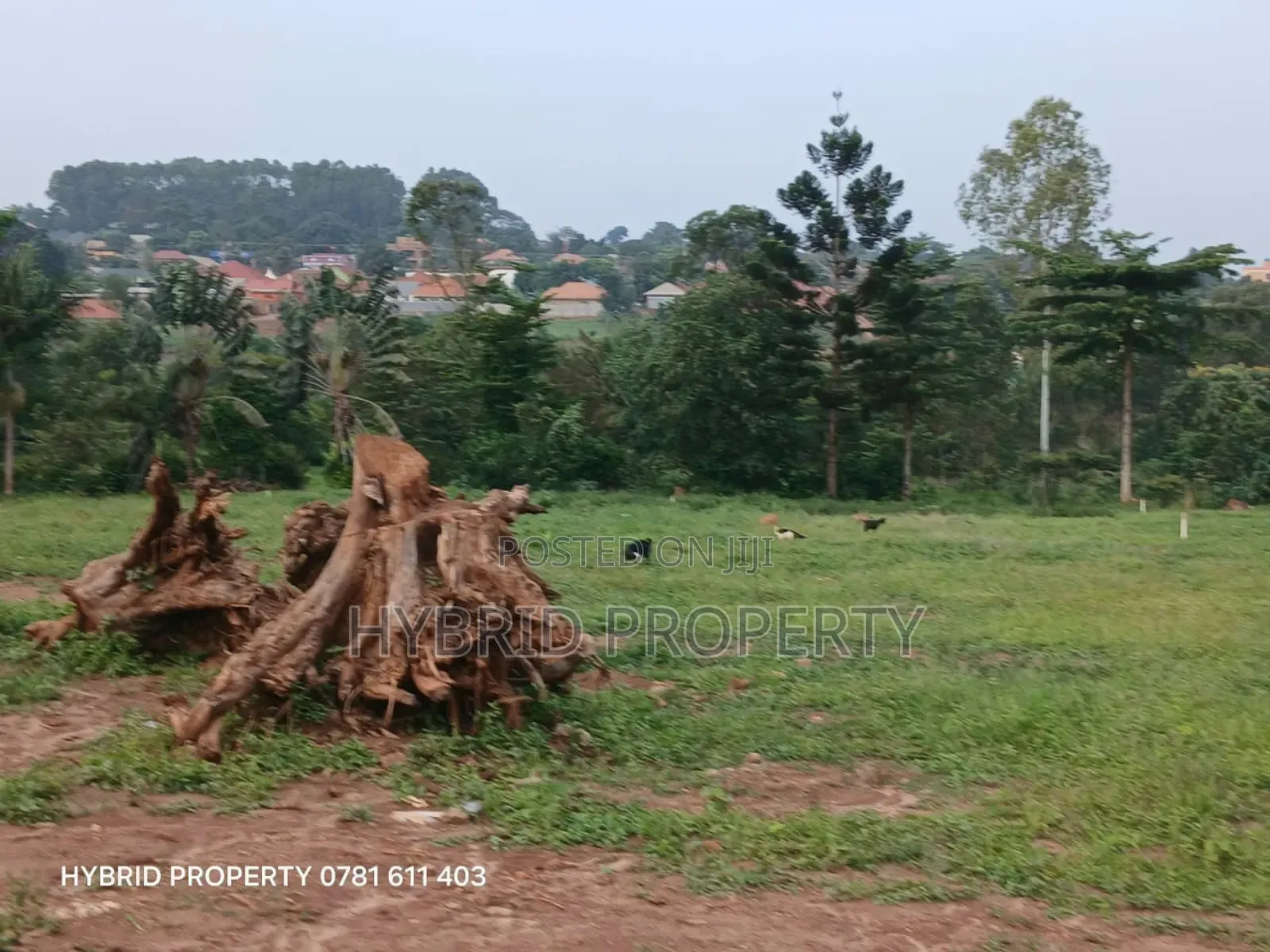 Prime Plots For Sale At Wakiso~Namusera Tarmac View Estate~Hoima Road.