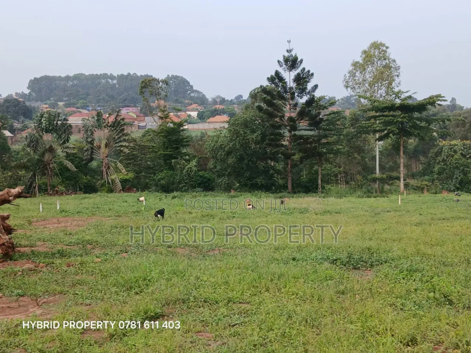 Prime Plots For Sale At Wakiso~Namusera Tarmac View Estate~Hoima Road.