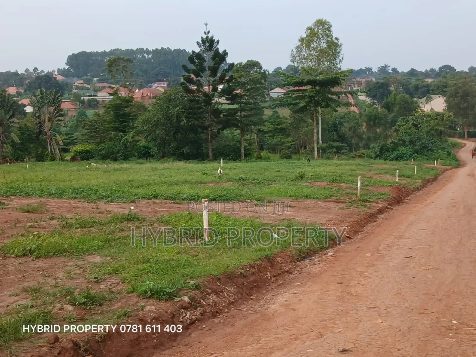 Prime Plots For Sale At Wakiso~Namusera Tarmac View Estate~Hoima Road.