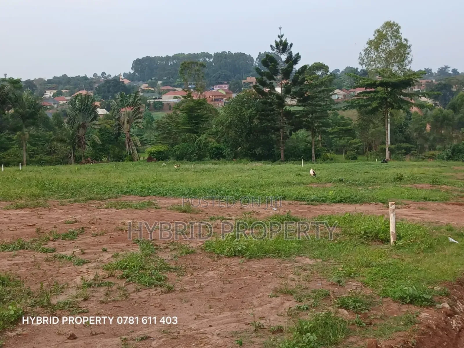 Prime Plots For Sale At Wakiso~Namusera Tarmac View Estate~Hoima Road.