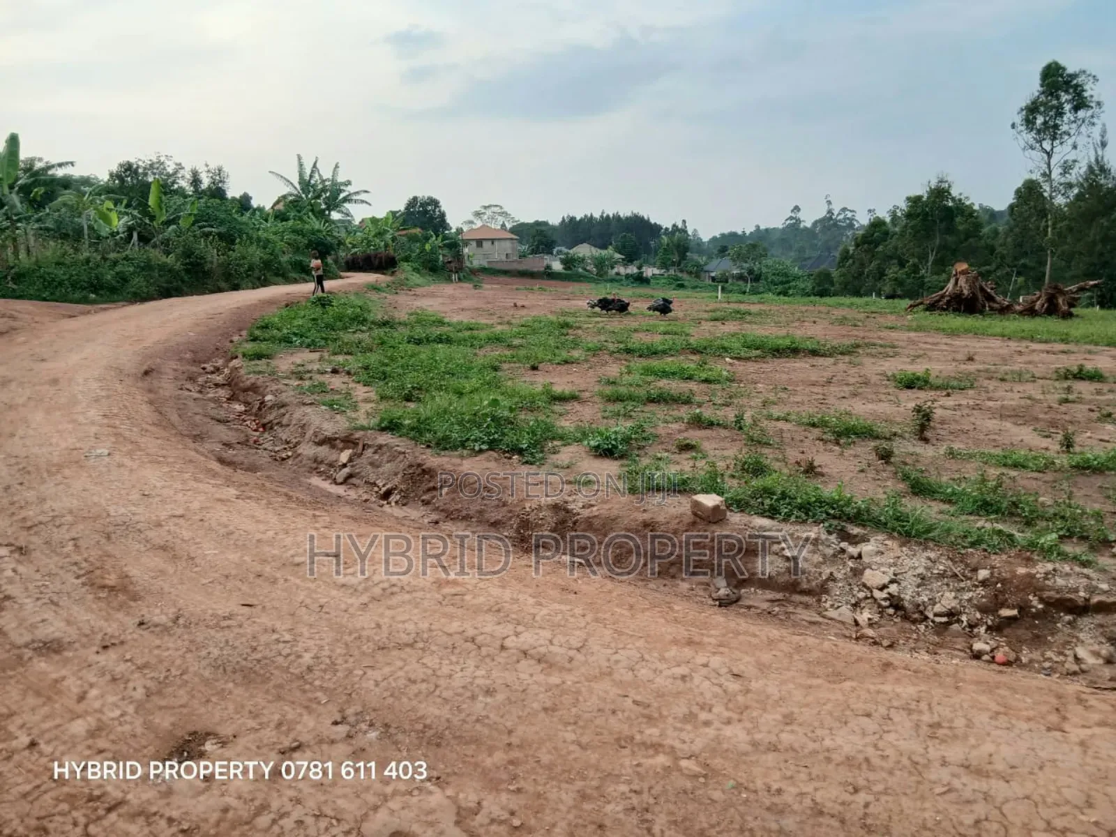 Prime Plots For Sale At Wakiso~Namusera Tarmac View Estate~Hoima Road.