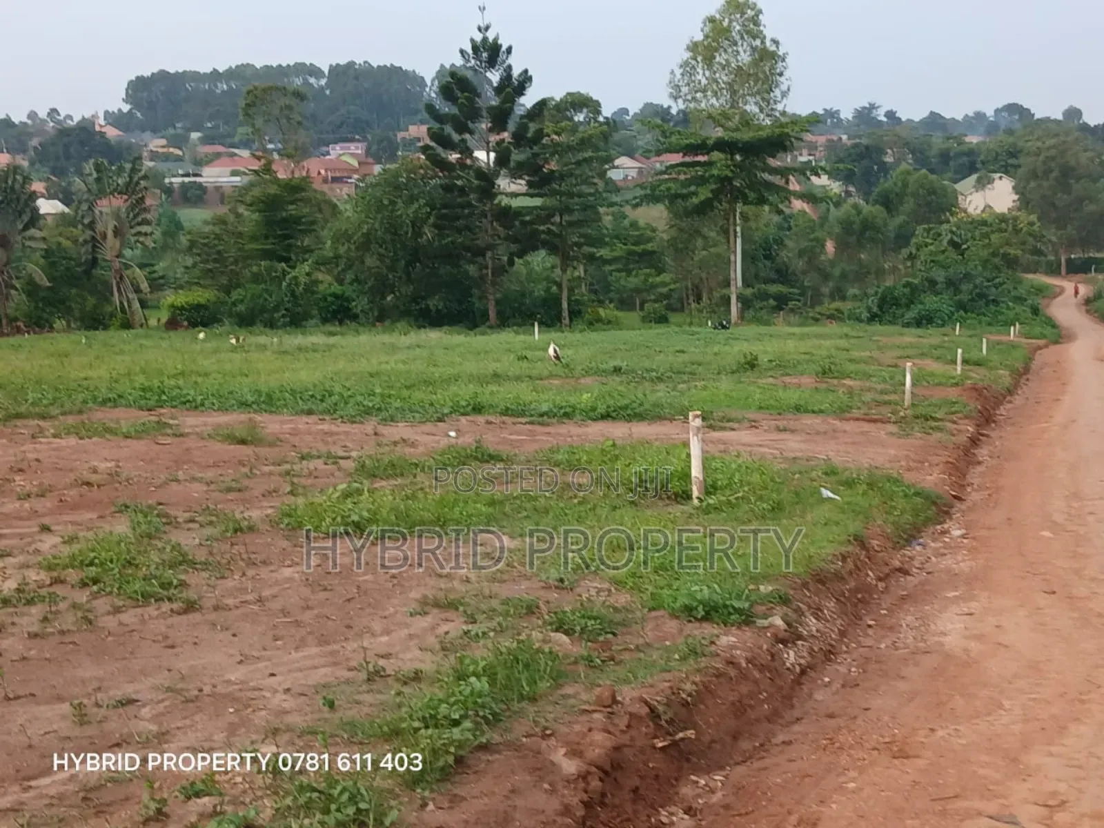 Prime Plots For Sale At Wakiso~Namusera Tarmac View Estate~Hoima Road.
