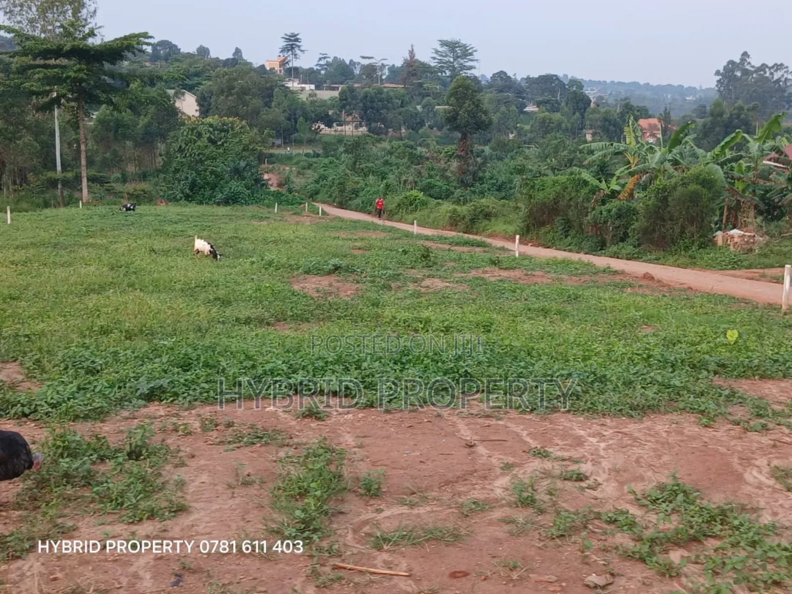 Prime Plots For Sale At Wakiso~Namusera Tarmac View Estate~Hoima Road.