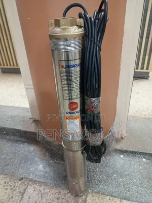 75m Submersible Water Pump (248feet) Pedrollo