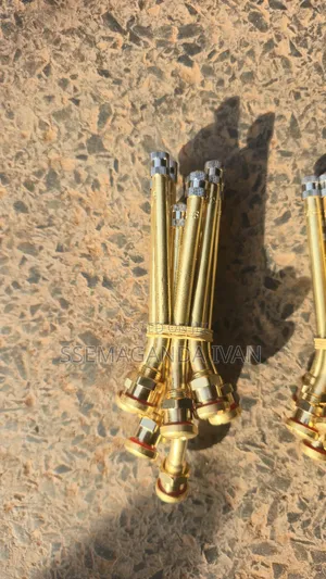 Truck Lorries Metallic Valves 22.5