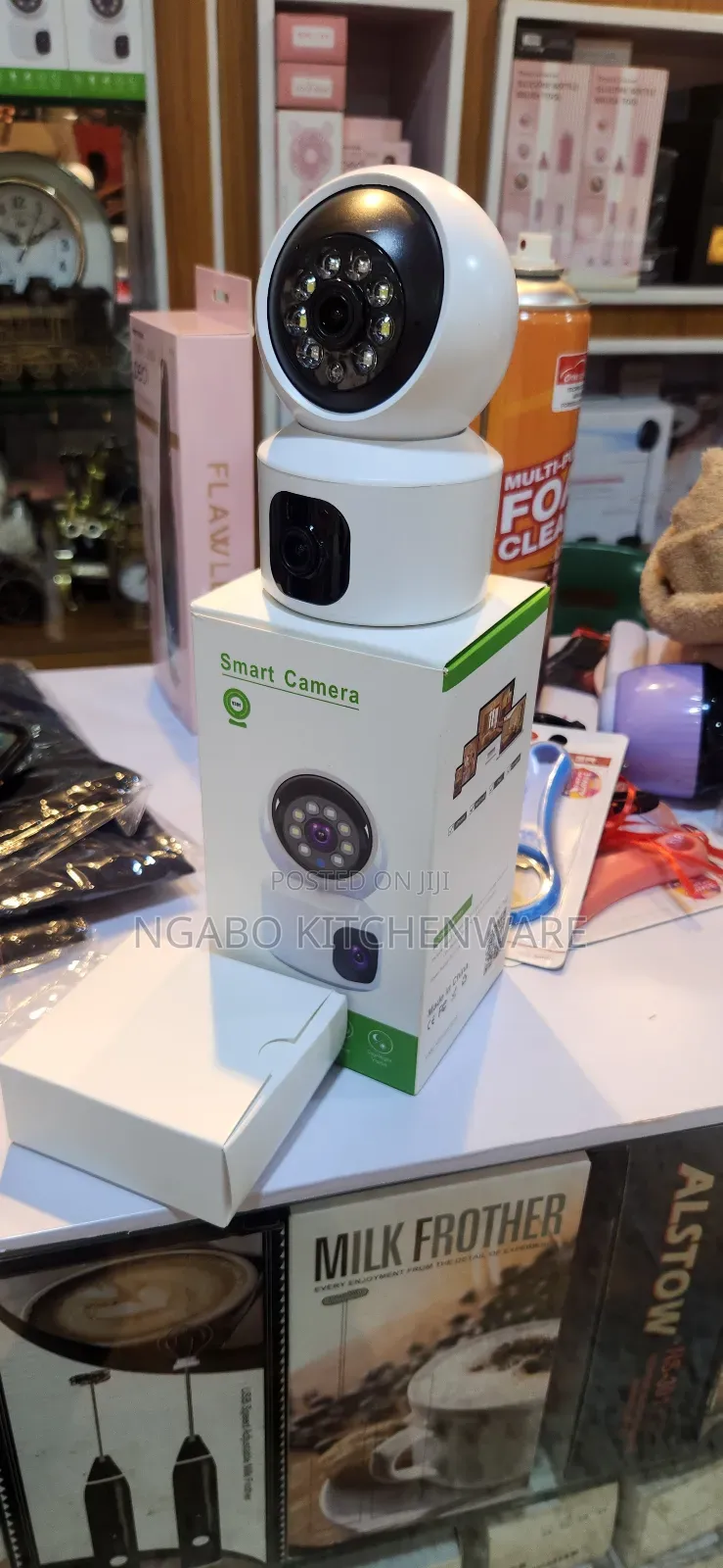 Smart Camera Used for Indoor or Outdoor Security Monitoring.